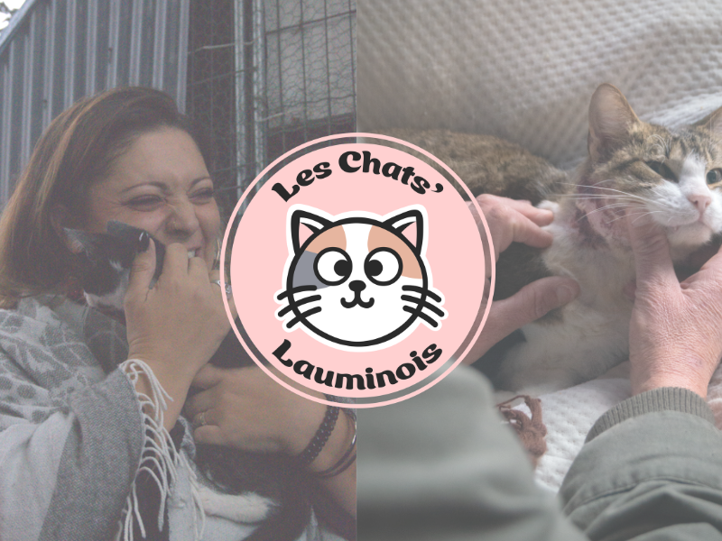 Chats Lauminois