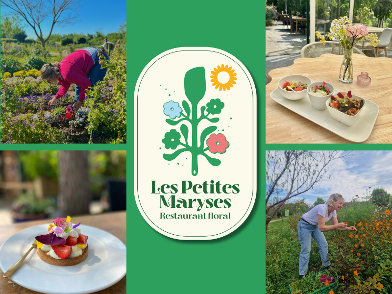 Mon stage : Les Petites Maryses
